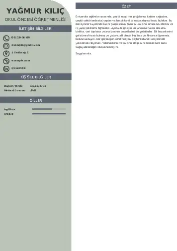 Okul Öncesi Öğretmeni Öğretmenliği Cv Örnekleri cv indir